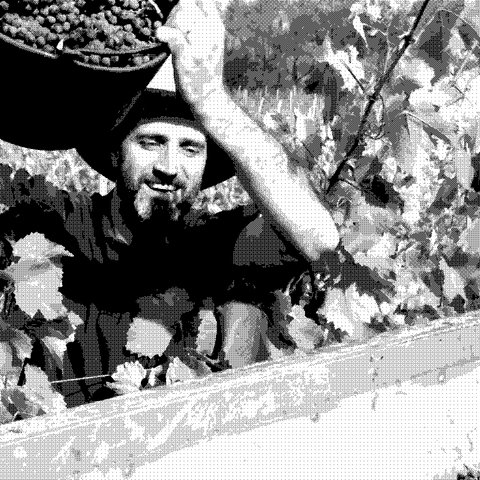 Azimut — natural wine producer