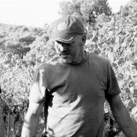 Bauregard Mirouze — natural wine producer