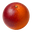 Blood Orange Icon Tasting | Primal Wine
