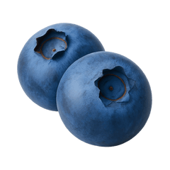 Blueberry Icon Tasting | Primal Wine