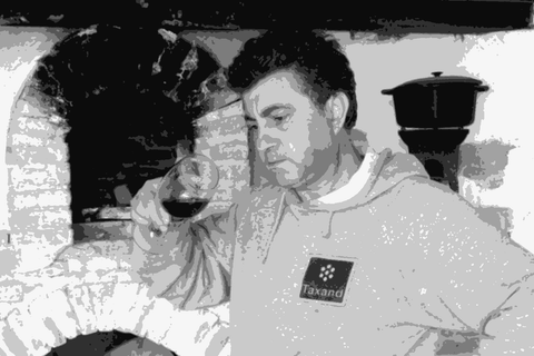 Bodegas Cueva — natural wine producer