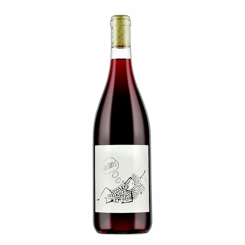 Broc Cellars Got Grapes Red Blend NV natural wine bottle