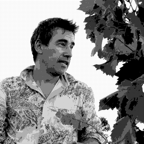Bruno Duchene — natural wine producer