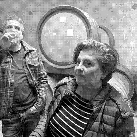 Cantina Giardino — natural wine producer