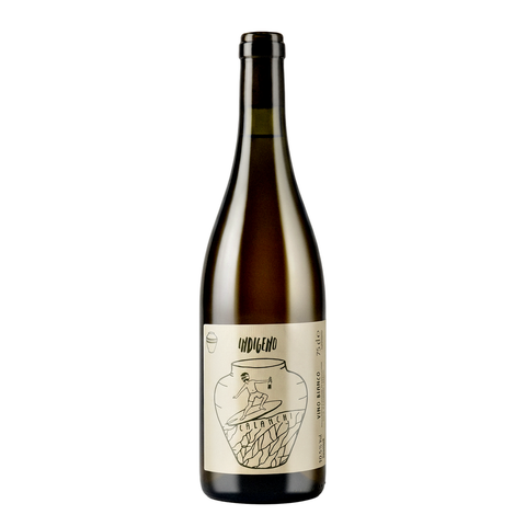 Cantina Indigeno Orange Calanchi Anfora 2020 natural wine bottle