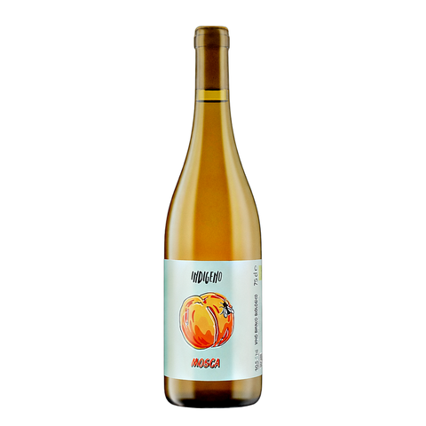 Cantina Indigeno Mosca Orange, natural wine bottle at Primal Wine