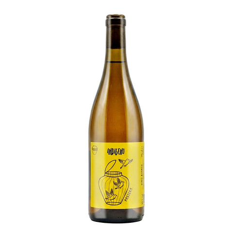 Cantina Indigeno Passerà Passerina Orange 2021 natural wine bottle