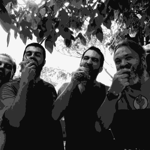 Cantina Indigeno — natural wine producer