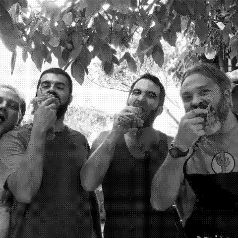 Cantina Indigeno — natural wine producer