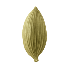 Cardamom Icon Tasting | Primal Wine
