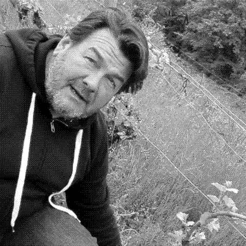 Nicolas Carmarans, natural wine producer, in his vineyard in Aveyron, France
