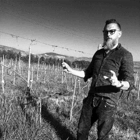Ceppaiolo — natural wine producer
