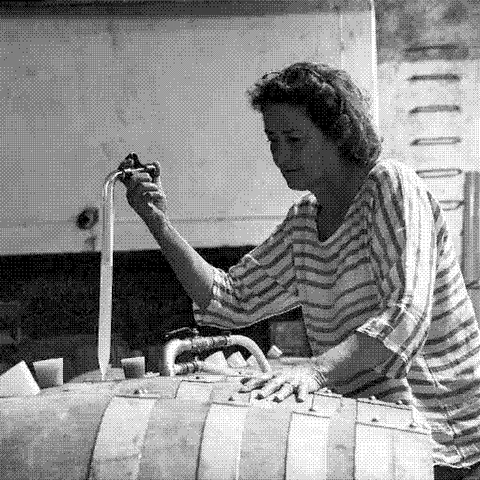 Château Coujan — natural wine producer