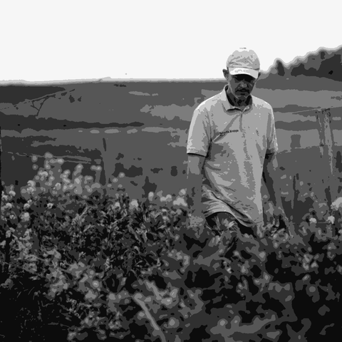 Château Le Payral — natural wine producer