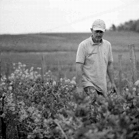 Château Le Payral — natural wine producer