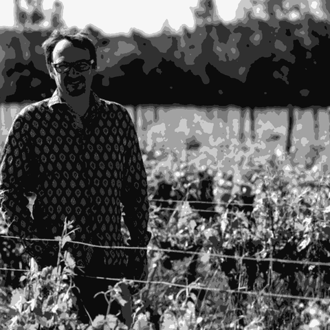 Château Puech Redon — natural wine producer