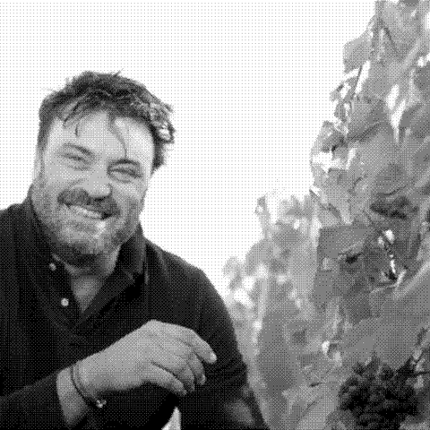 Château Sainte-Marie — natural wine producer