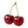 Cherry Icon Tasting | Primal Wine
