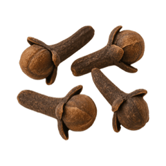 Clove Icon Tasting | Primal Wine