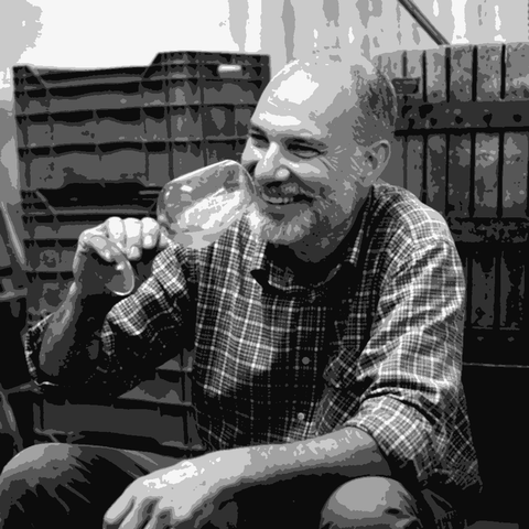 Costadila' — natural wine producer