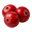 Cranberry Icon Tasting | Primal Wine
