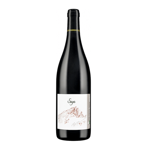 Domaine Adrien Dacquin Saya 2024 wine bottle