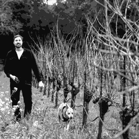 Dan and Jack — natural wine producer