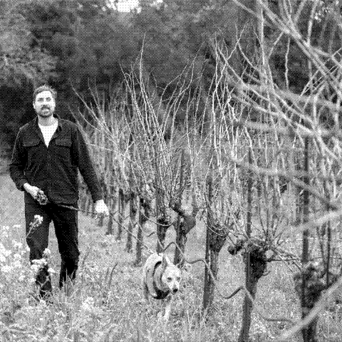 Dan and Jack — natural wine producer