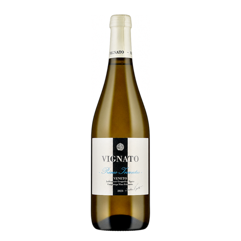 Davide Vignato Veneto Garganega Primo Incontro 2023, natural wine bottle at Primal Wine