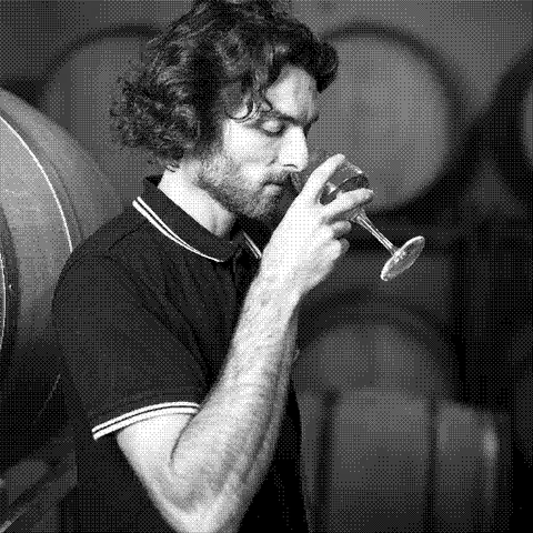 Domaine Bechtold — natural wine producer