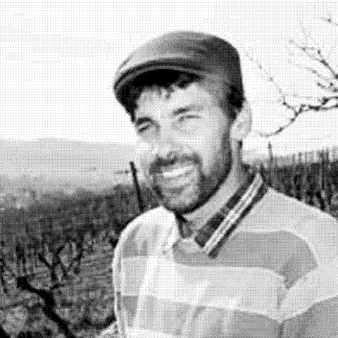 Domaine Brand — natural wine producer