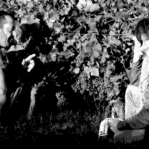 Domaine Calvez Bobinet — natural wine producer