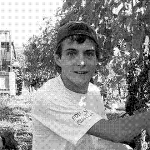 Domaine de Dauliac — natural wine producer