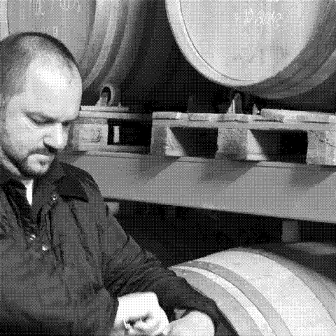 Domaine de l'Horizon — natural wine producer