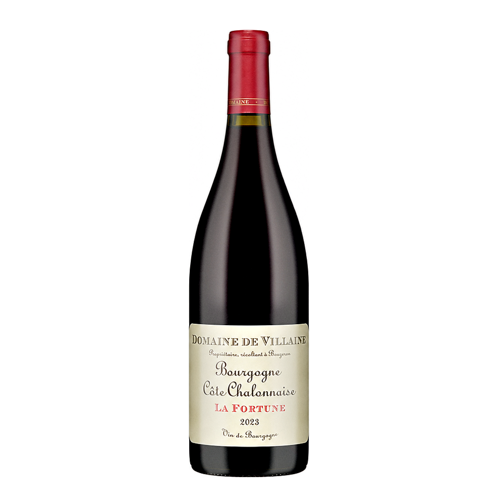 Domaine de Villaine Bourgogne Côte Chalonnaise Rouge 