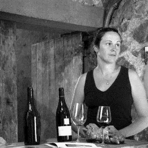 Domaine des Miquettes — natural wine producer
