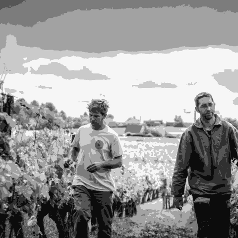 Domaine du Mortier — natural wine producer