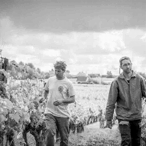 Domaine du Mortier — natural wine producer