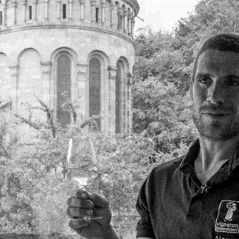 Domaine Gross — natural wine producer