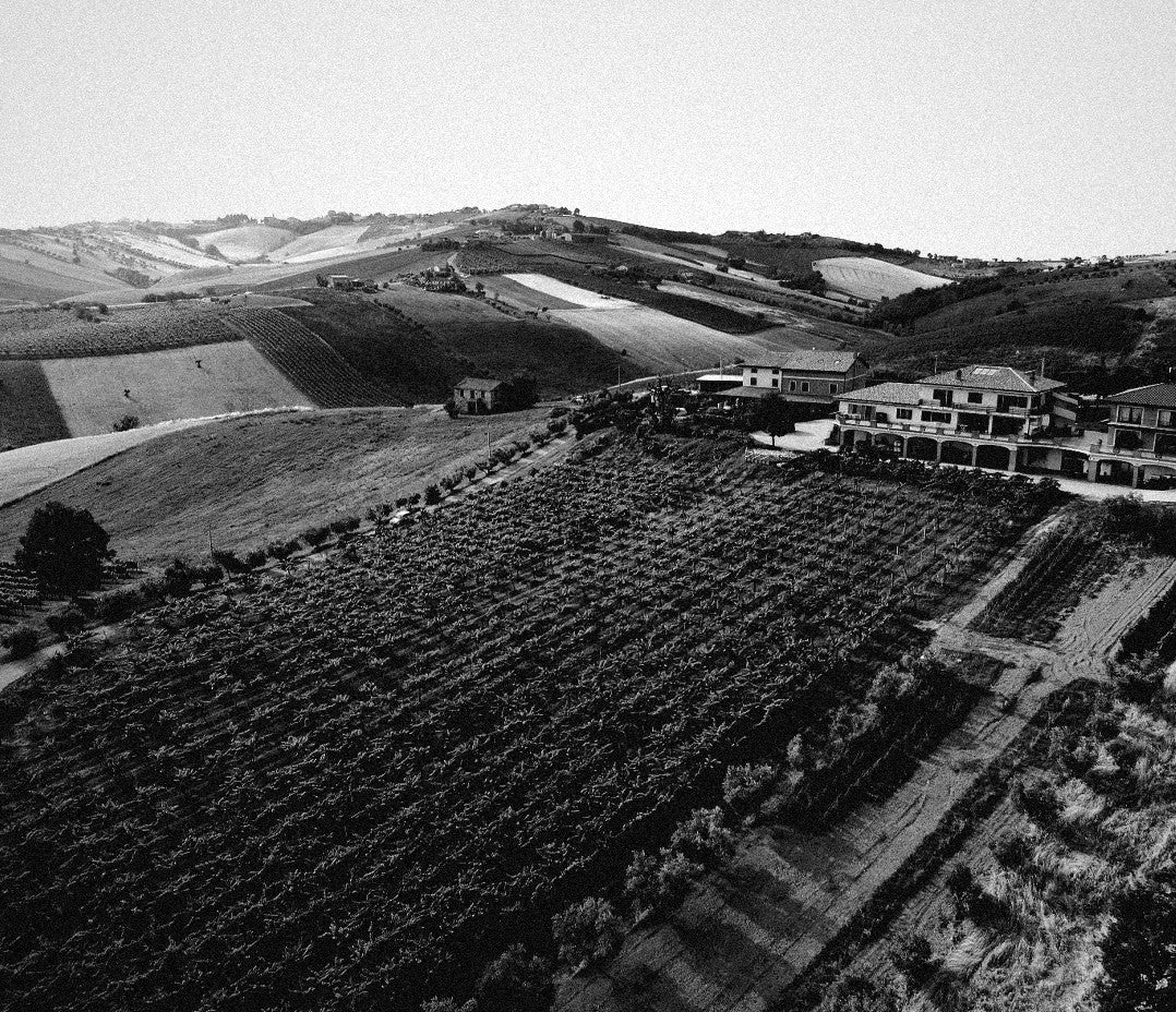 The Emidio Pepe estate and vineyards in the hills of Torano Nuovo, Abruzzo
