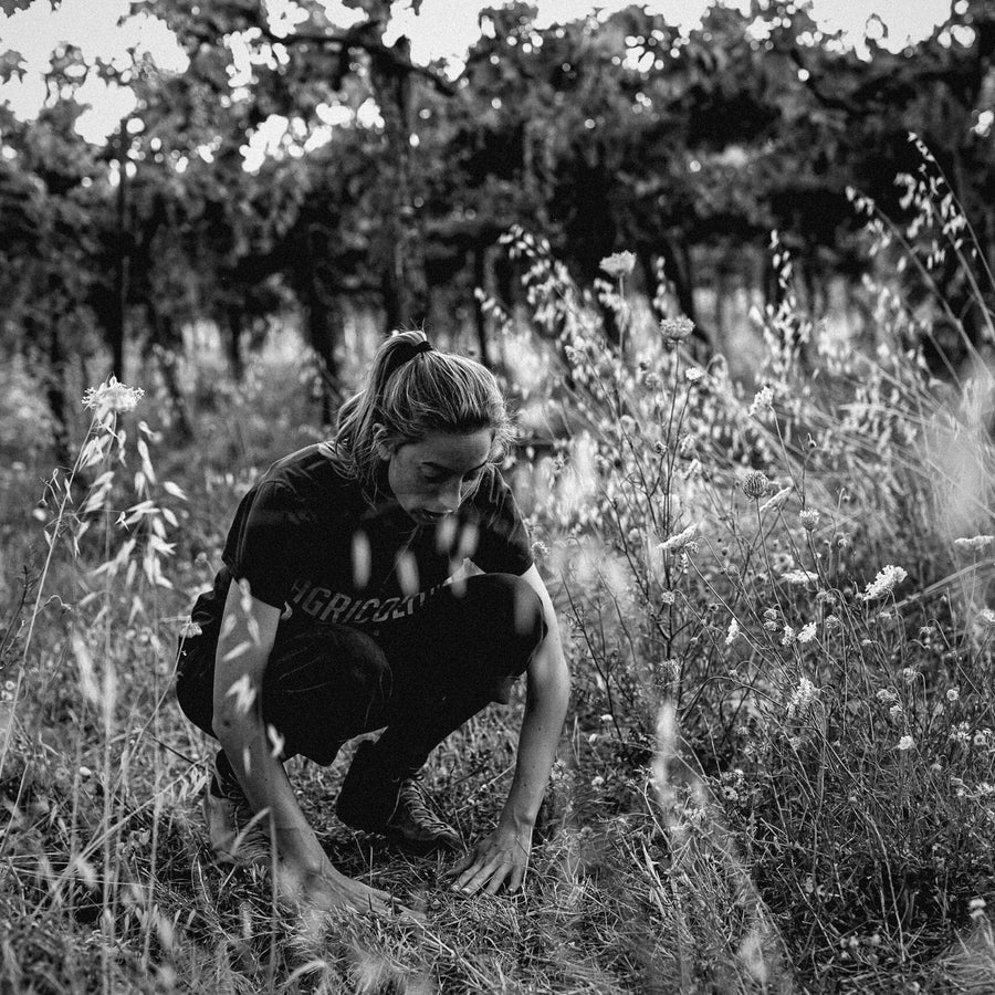 Working the vines at Emidio Pepe, Torano Nuovo, Abruzzo