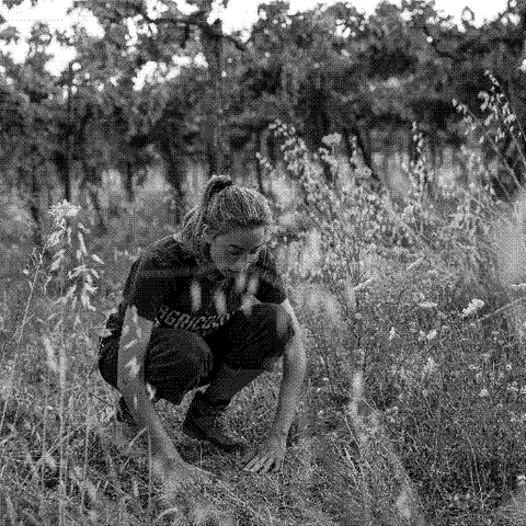 Emidio Pepe, natural wine producer, in the vineyard in Abruzzo, Italy