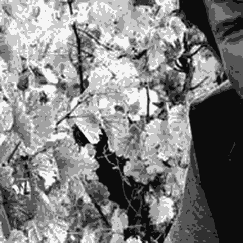 Eric Kamm — natural wine producer