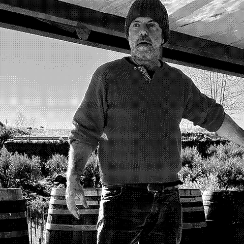 Davide Bentivegna, natural wine producer of Etnella, standing among barrels with Mount Etna behind his vineyard in Sicily, Italy
