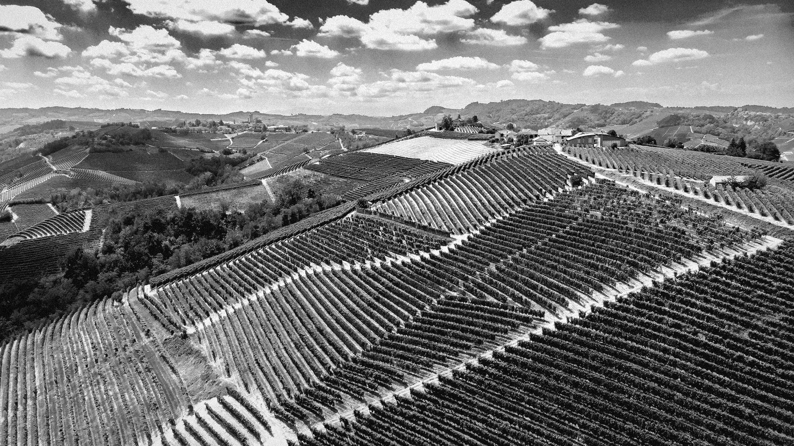 Aerial view of the Langhe vineyards around Serralunga d'Alba