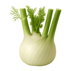 Fennel Icon Tasting | Primal Wine