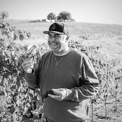 Field Recordings, natural wine producer from Paso Robles, California
