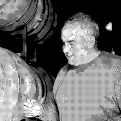 Field Recordings — natural wine producer