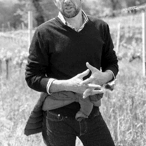 Fongoli — natural wine producer