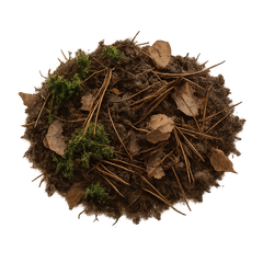 Forest Floor Icon Tasting | Primal Wine